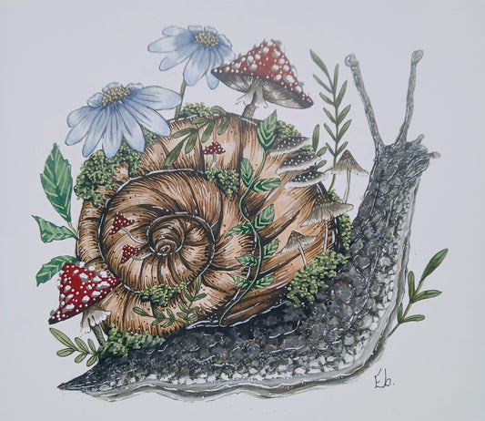 Mushroom snail.A5 size.(original art print)as seen on tiktok.