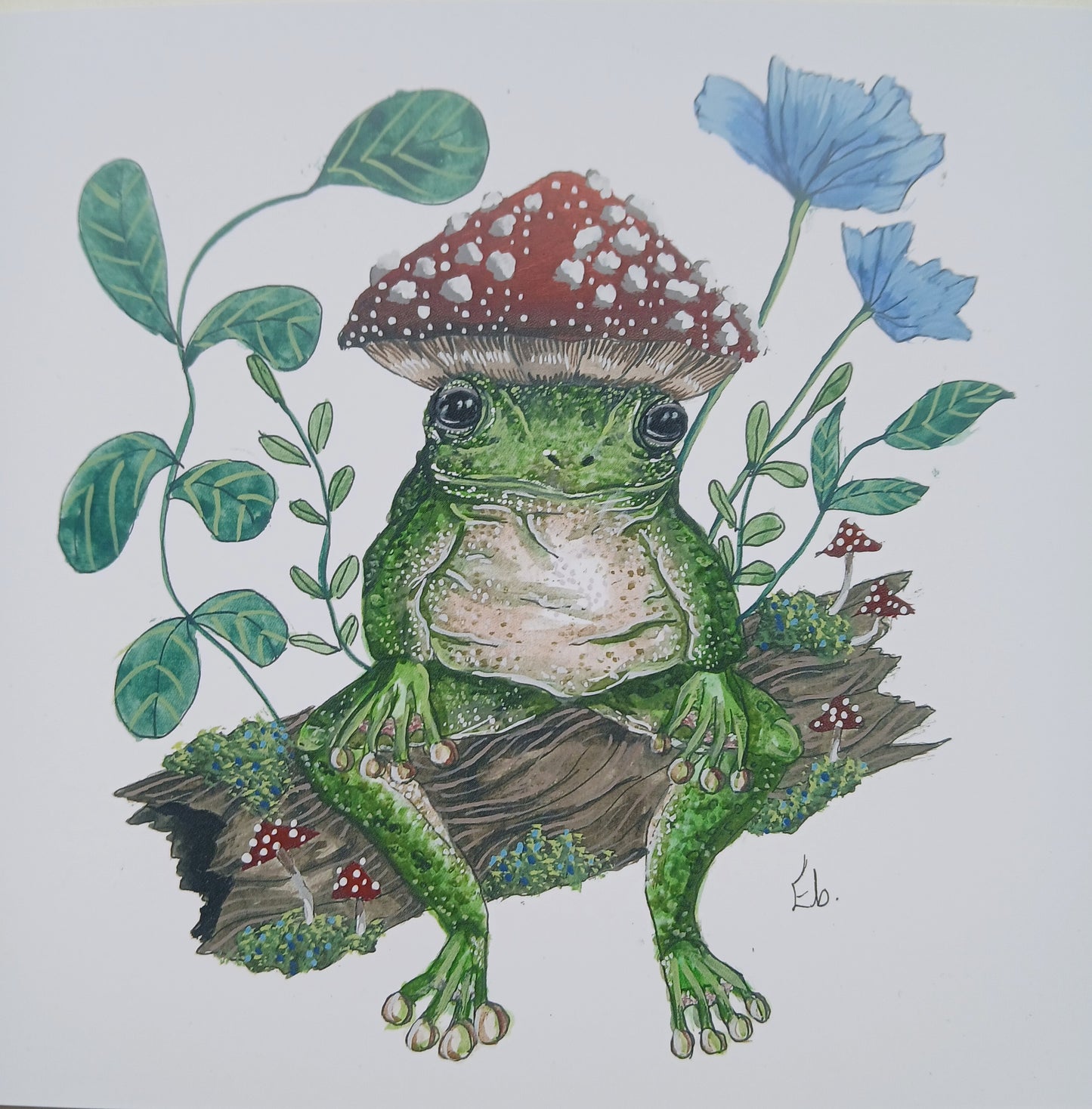 Mushroom frog.A5 size.(original art print)as seen on tiktok